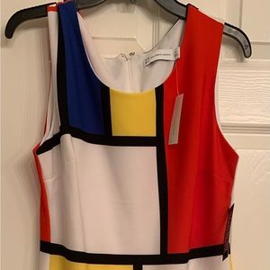 BRAND NEW! New York and Company colorblock dress